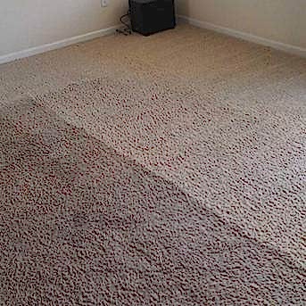 Чистка коврового покрытия в офисе