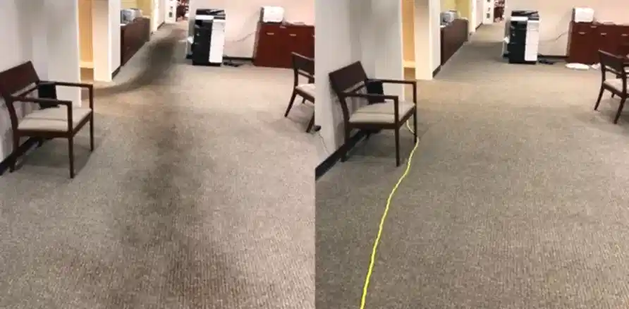 Чистка коврового покрытия в офисе