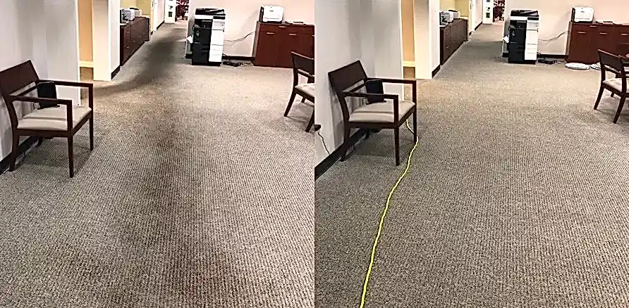 Чистка коврового покрытия в офисе