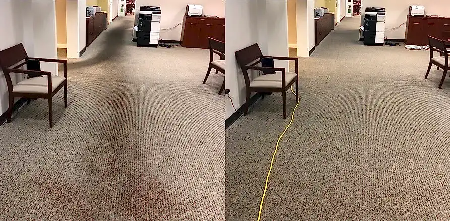 Чистка коврового покрытия в офисе