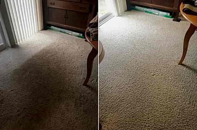 Химчистка ковра