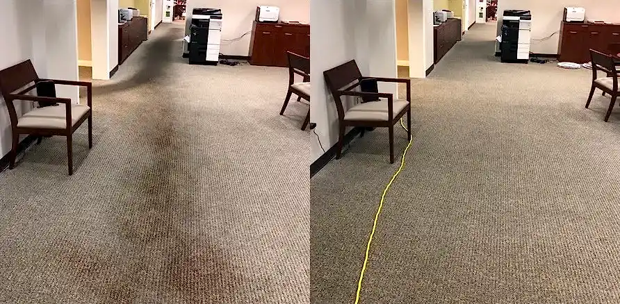 Чистка коврового покрытия в офисе