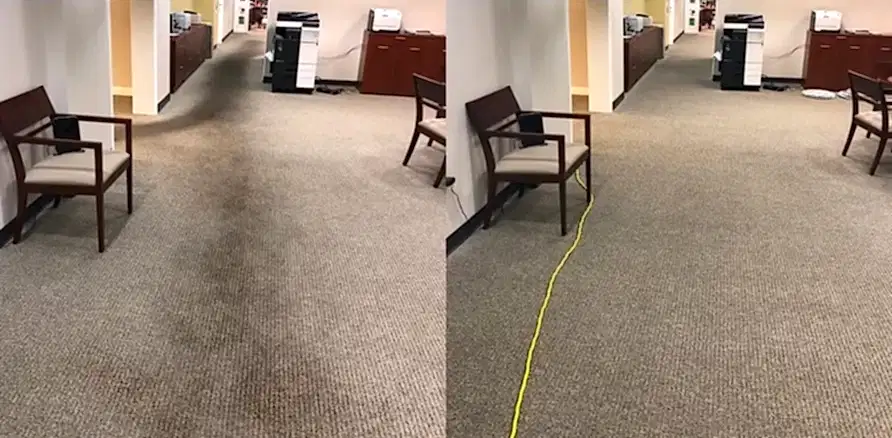 Чистка коврового покрытия в офисе