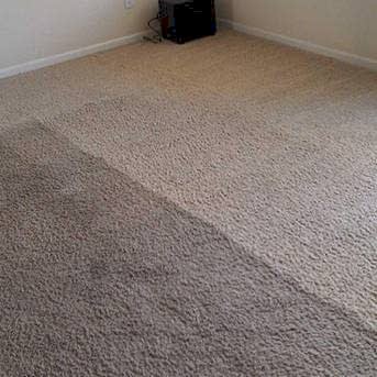 Чистка коврового покрытия в офисе