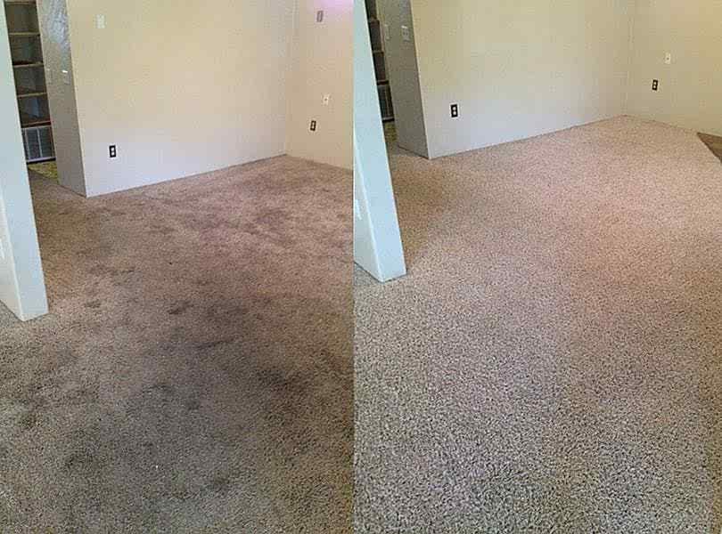 Химчистка ковролина в офисе