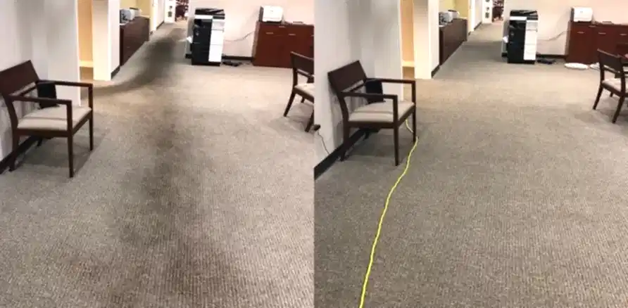 Чистка коврового покрытия в офисе