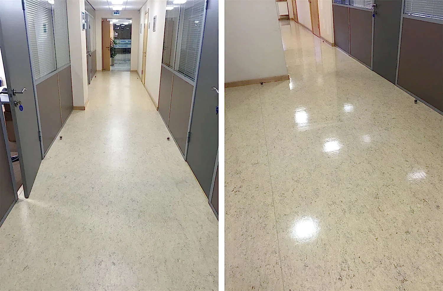 Дезинфицирующая уборка офисного помещения