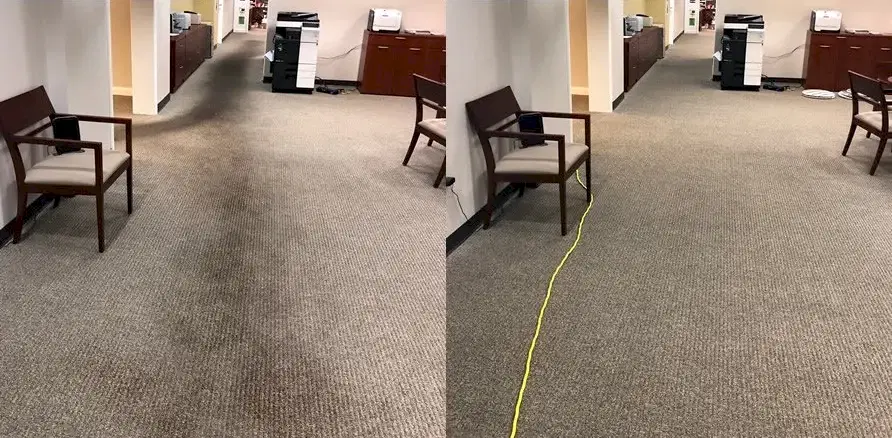 Чистка коврового покрытия в офисе