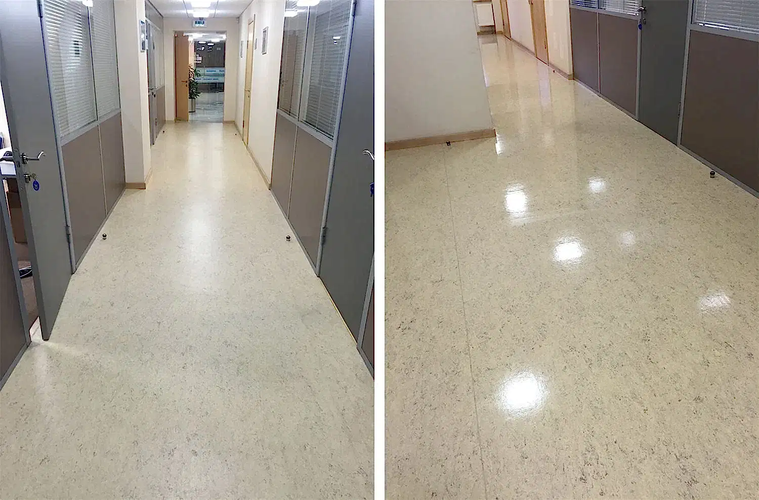 Дезинфицирующая уборка офисного помещения Дезинфицирующая уборка офисного помещения