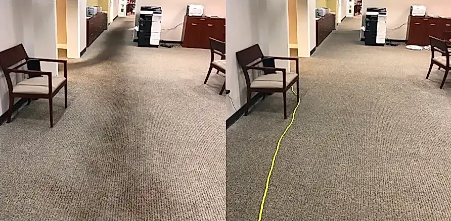 Чистка коврового покрытия в офисе
