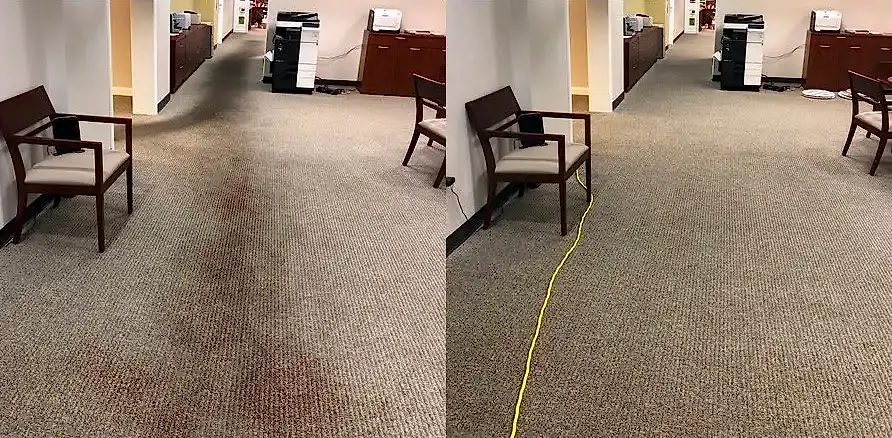 Чистка коврового покрытия в офисе