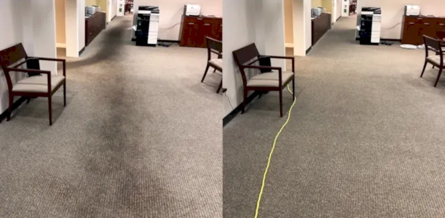 Чистка коврового покрытия в офисе