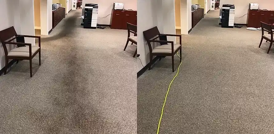Чистка коврового покрытия в офисе