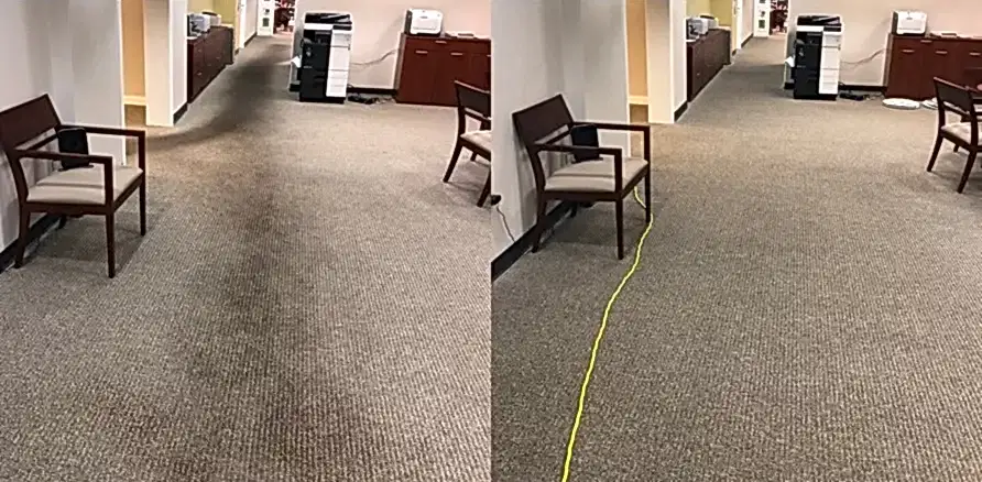 Чистка коврового покрытия в офисе