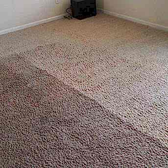 Чистка коврового покрытия в офисе