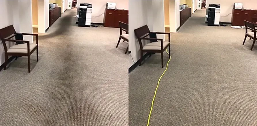 Чистка коврового покрытия в офисе Чистка коврового покрытия в офисе