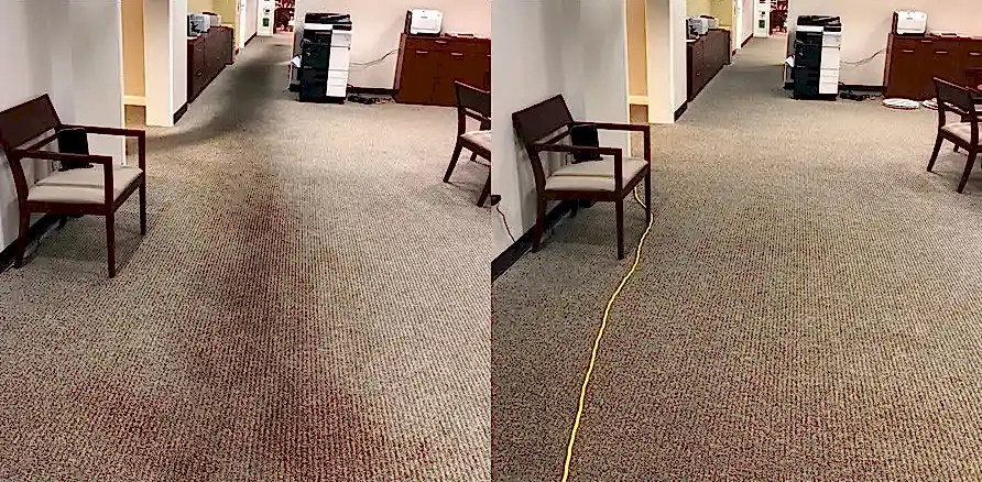 Чистка коврового покрытия в офисе Чистка коврового покрытия в офисе
