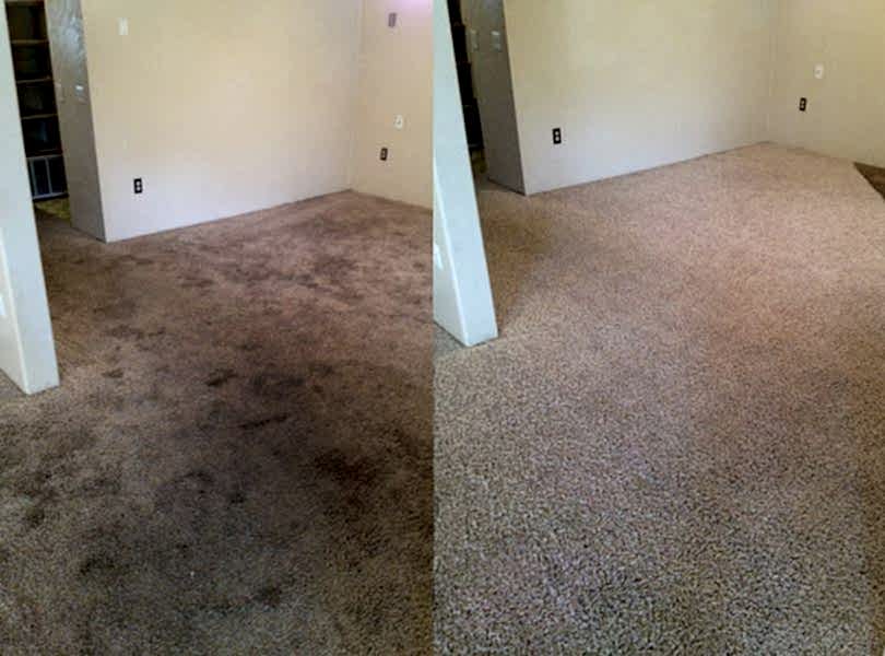 Химчистка ковролина в офисе Химчистка ковролина в офисе