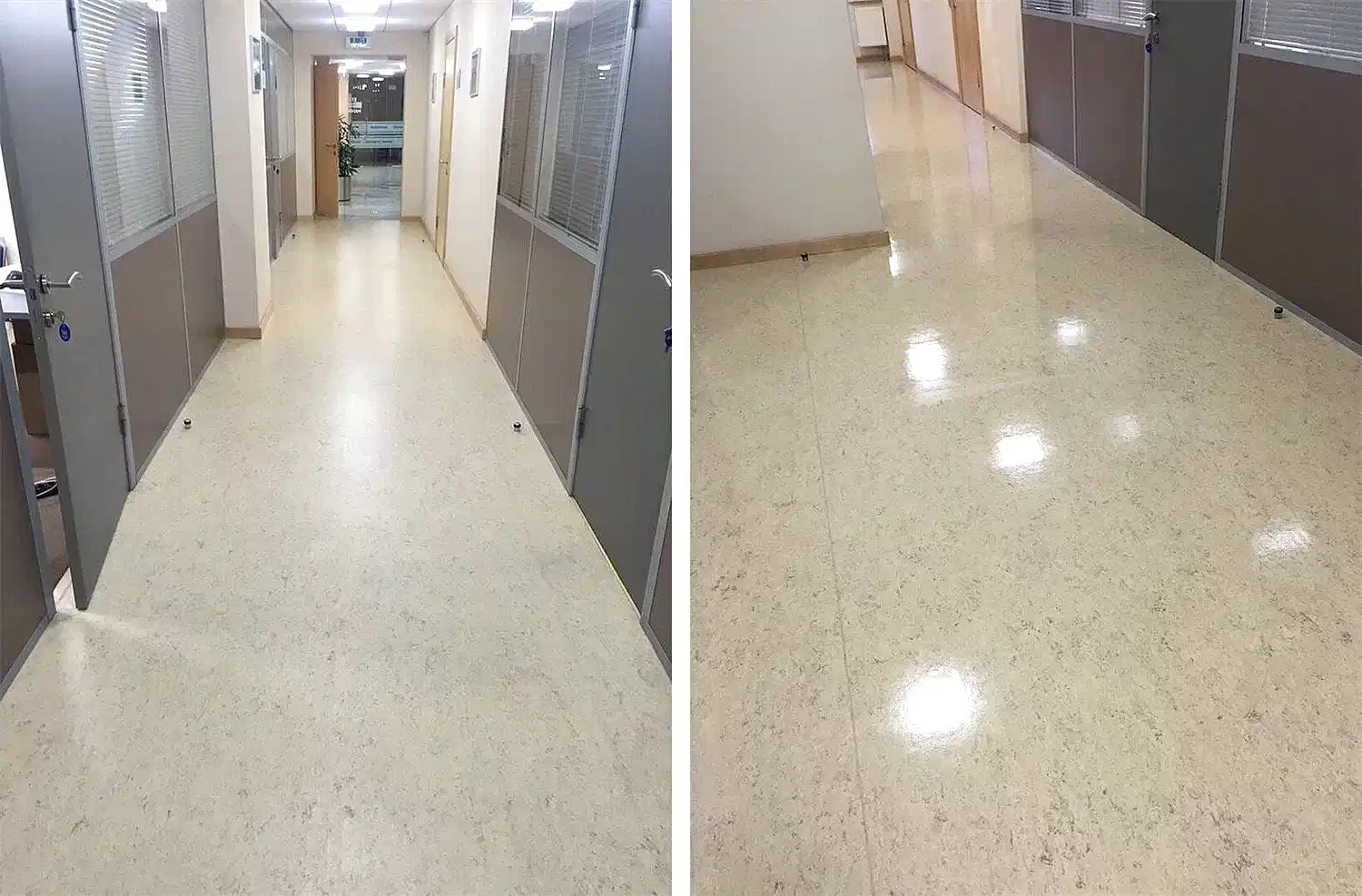 Дезинфицирующая уборка офисного помещения Дезинфицирующая уборка офисного помещения