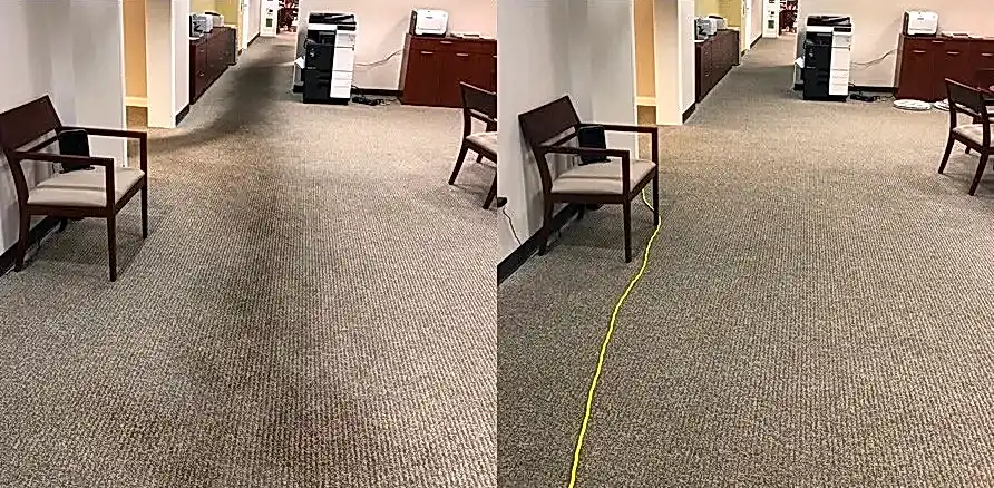 Чистка коврового покрытия в офисе
