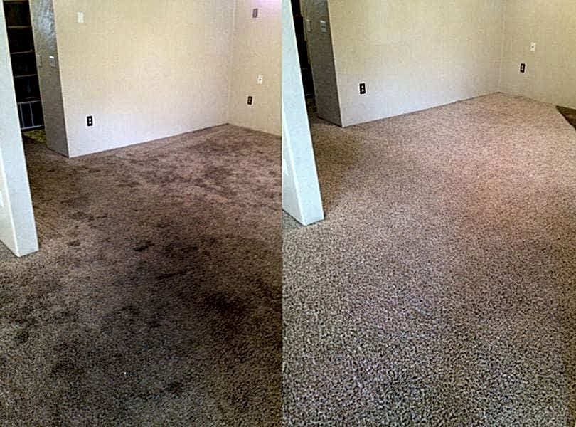 Химчистка ковролина в офисе