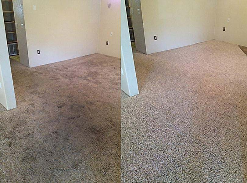 Химчистка ковролина в офисе