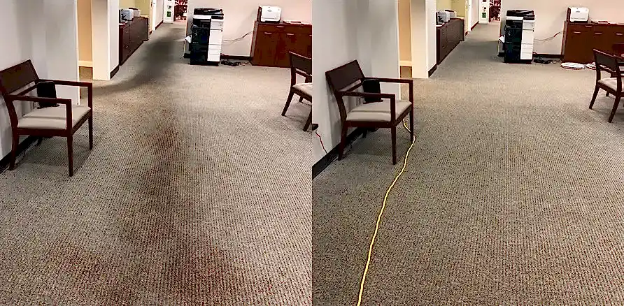 Чистка коврового покрытия в офисе