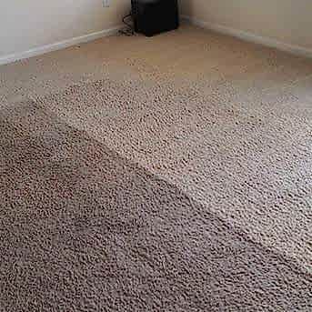 Чистка коврового покрытия в офисе