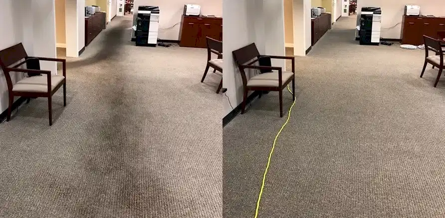 Чистка коврового покрытия в офисе