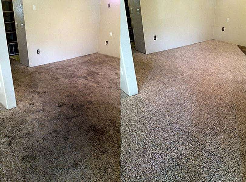 Химчистка ковролина в офисе