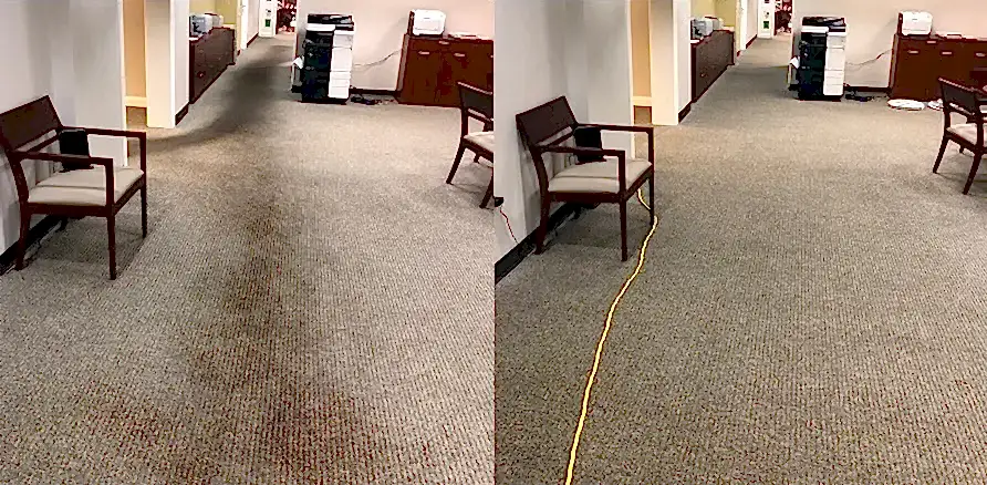 Чистка коврового покрытия в офисе
