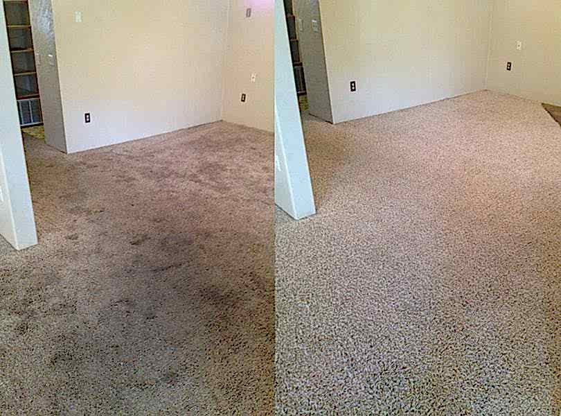 Химчистка ковролина в офисе