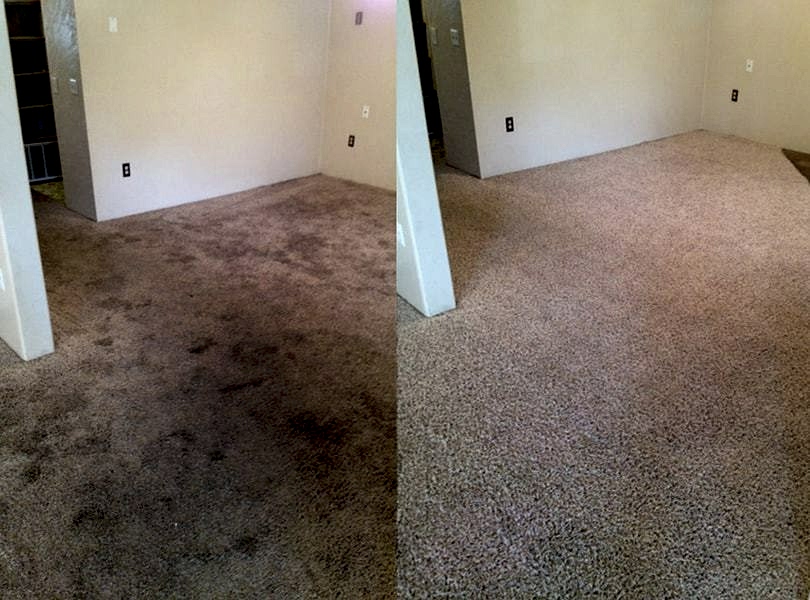 Химчистка ковролина в офисе