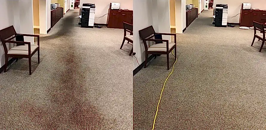 Чистка коврового покрытия в офисе
