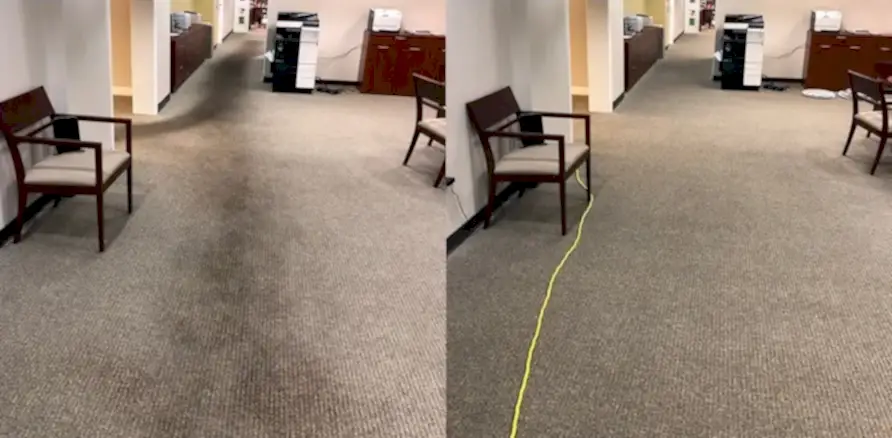 Чистка коврового покрытия в офисе