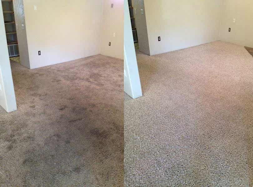 Химчистка ковролина в офисе