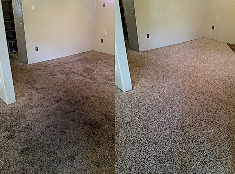 Химчистка ковролина в офисе