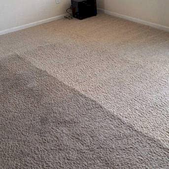 Чистка коврового покрытия в офисе