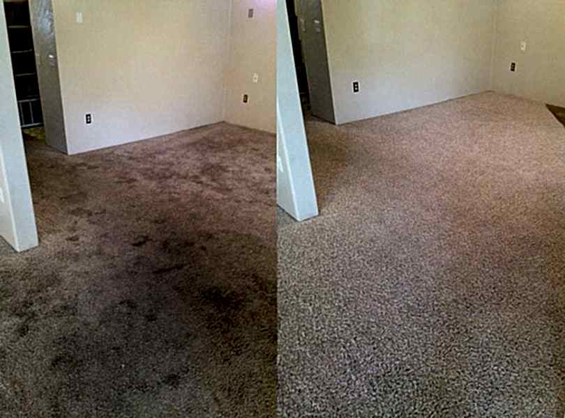 Химчистка ковролина в офисе