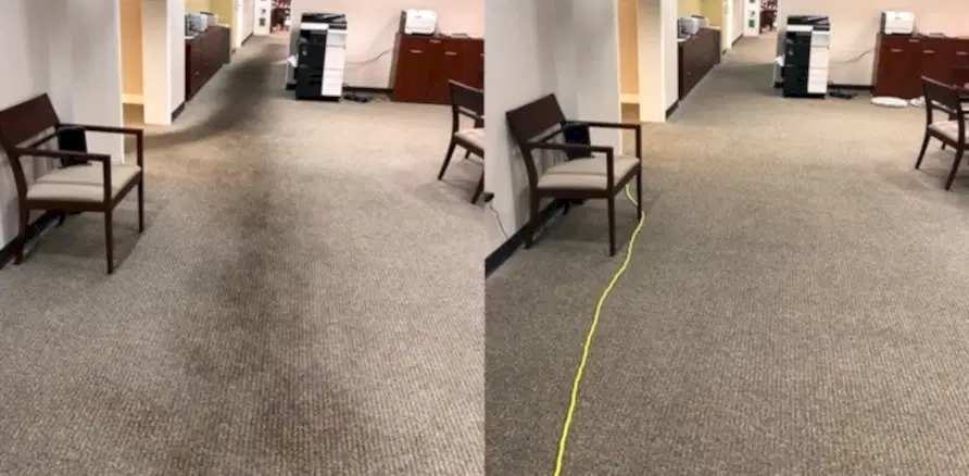 Чистка коврового покрытия в офисе