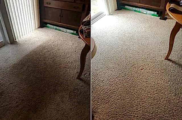 Химчистка ковра