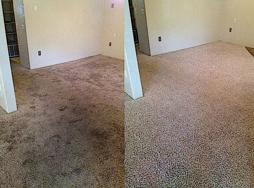 Химчистка ковролина в офисе