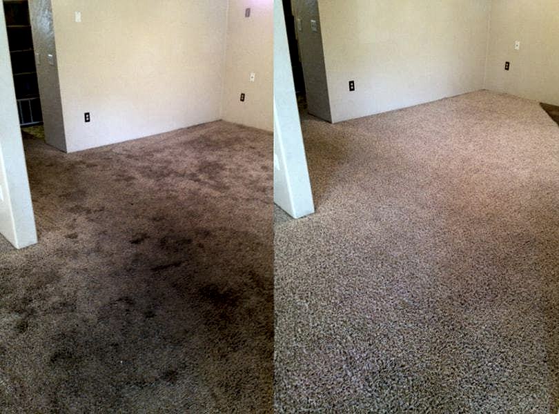 Химчистка ковролина в офисе