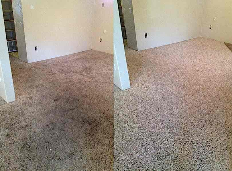 Химчистка ковролина в офисе