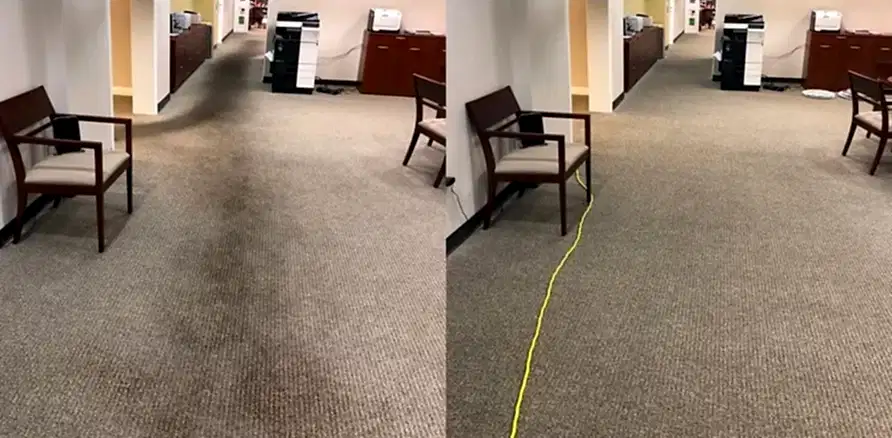 Чистка коврового покрытия в офисе Чистка коврового покрытия в офисе