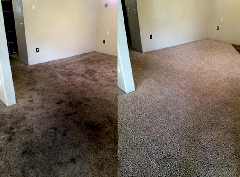 Химчистка ковролина в офисе Химчистка ковролина в офисе