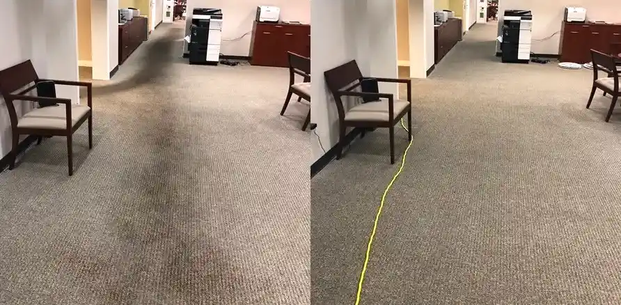 Чистка коврового покрытия в офисе