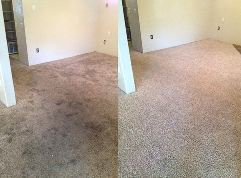 Химчистка ковролина в офисе