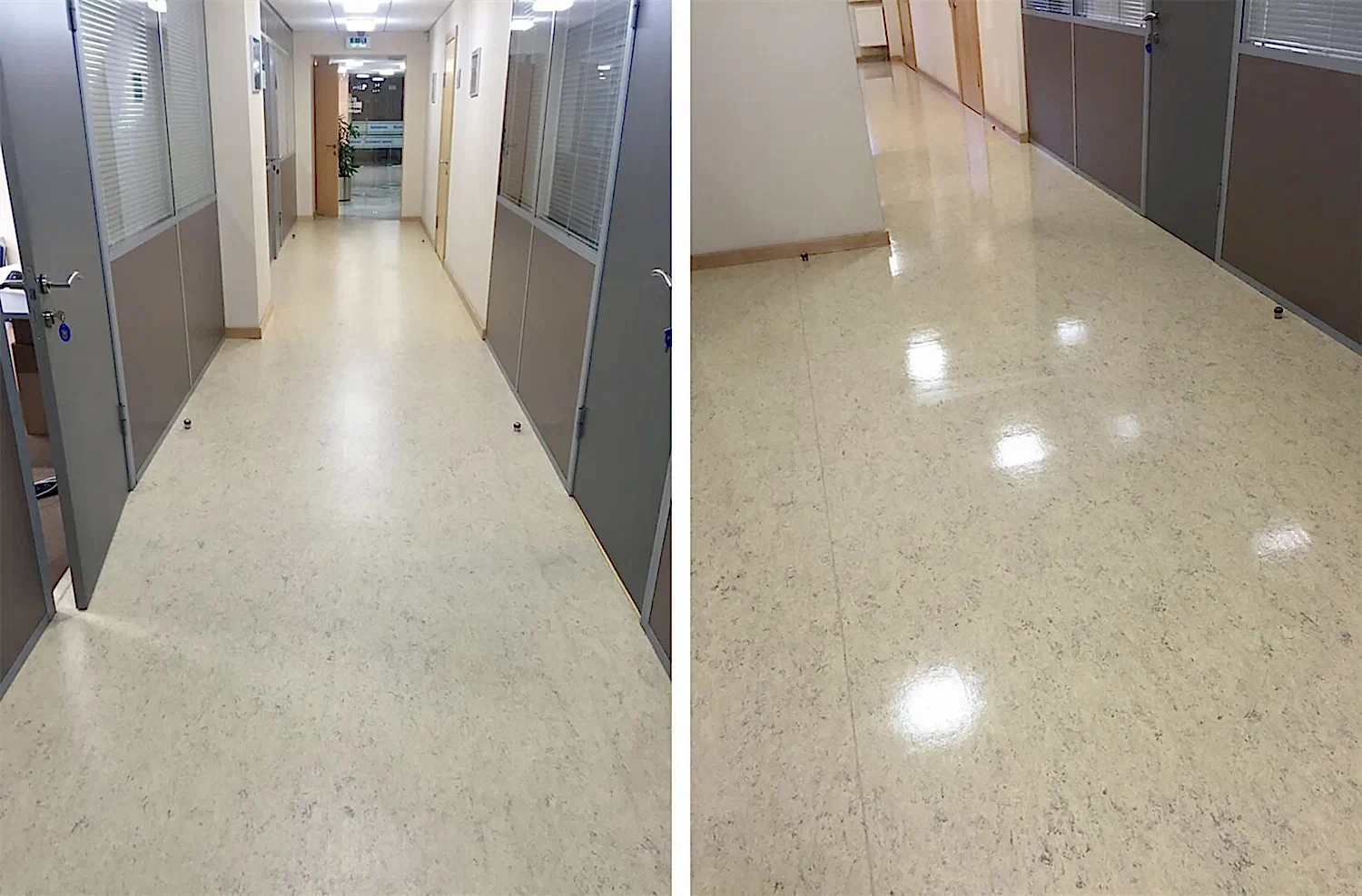 Дезинфицирующая уборка офисного помещения