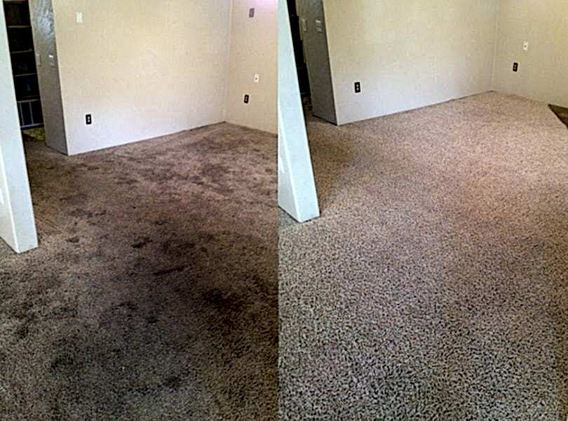 Химчистка ковролина в офисе